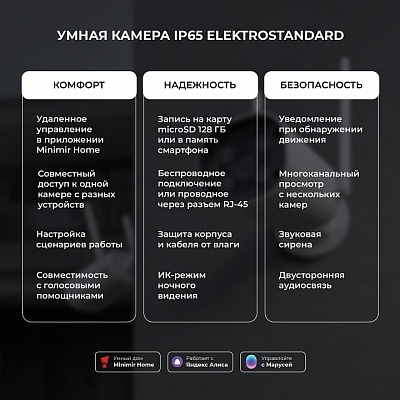 Видеокамера безопасности Elektrostandard WF 76500/01 400_400_2124398