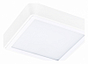 Накладной светильник Lightstar Urbano 216804 100_100_2448516