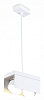 Подвесной светильник Ambrella Light TN TN70857 100_100_2800451