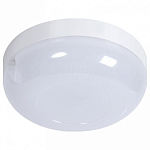 Накладной светильник Jazzway Pbh Pc4 1 5009363 250_100_Array