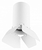 Накладной светильник Lightstar Rullo R436436 100_100_2448376