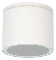 Накладной светильник Arte Lamp Piautos A1913PF-1WH 500_191_2444315