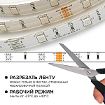 Комплект с лентой светодиодной Apeyron Electrics  10-03 250_100_3079694