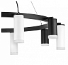 Подвесная люстра Lightstar Rullo LR0203758650 100_100_1718783
