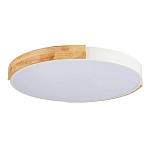 SLE201352-01 Светильник потолочный Белый, Светлое дерево/Белый LED 1*40W 3000K/4000K/6000K ДЕЛИА 250_100_2954835