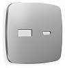 Накладка для розетки type A и C Ambrella Volt OMEGA OP5110 100_100_2192264