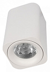 Накладной светильник Loft it Cup 10329 White 250_100_Array
