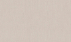A101106 Обои ARTSIMPLE (1*6) 10,00x1,06 винил на флизелине 250_100_Array