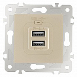 Розетка USB, без рамки Arte Milano am-203 203.46-1.shampan 250_100_Array