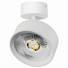 Спот Lightstar Alta Pro A5746SO 100_100_3238937