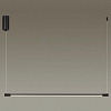 Подвесной светильник Odeon Light Fillini 4335/9L 100_100_1725540