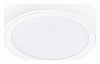 Накладной светильник Lightstar Urbano 216902 100_100_2448521