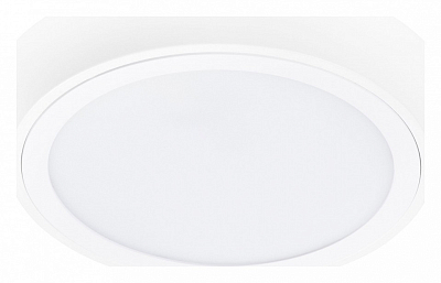 Накладной светильник Lightstar Urbano 216902 400_400_2448521