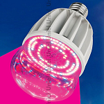 Лампа светодиодная Uniel LED-M80  20Вт K 11098 250_100_1858865