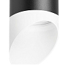 Подвесной светильник Lightstar Rullo RP648786 100_100_1715281
