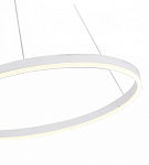 Подвесной светильник Kink Light Тор 08214,01A(4000K) 250_100_1842134