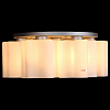 Потолочная люстра Lightstar Nubi 802070 100_100_1713591