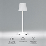 Настольная лампа декоративная Elektrostandard Mist a063928 250_100_1776692