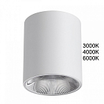 Накладной светильник Odeon Light HIGHTECH 7139/12CL 250_100_1391910