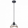 Подвесной светильник Vele Luce Formula VL6482P01 100_100_1910376
