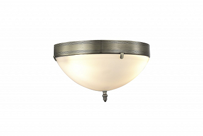 Накладной светильник MyFar Biene MR2520-2W 400_400_2840391