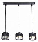 Подвесной светильник Ambrella Light TN TN71175 250_100_Array