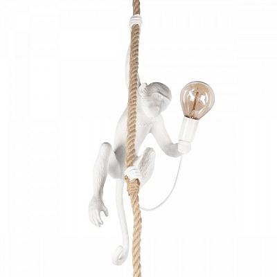 Подвесной светильник Loft it Monkey 10314P 400_400_1850311