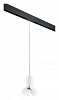 Подвесной светильник Lightstar Rullo PRORP436436 100_100_2460383