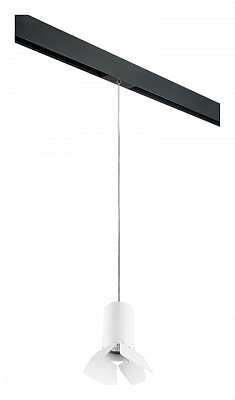 Подвесной светильник Lightstar Rullo PRORP436436 400_400_2460383
