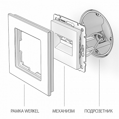 Розетка Ethernet RJ-45 без рамки Werkel слоновая кость W1181103 400_400_1882052