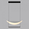 Подвесной светильник Odeon Light Next 7015/20L 100_100_1730434