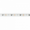 Лента светодиодная Arlight PFS 039175 100_100_1898917