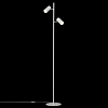 Торшер Citilux Twin CL809010N 100_100_1674486