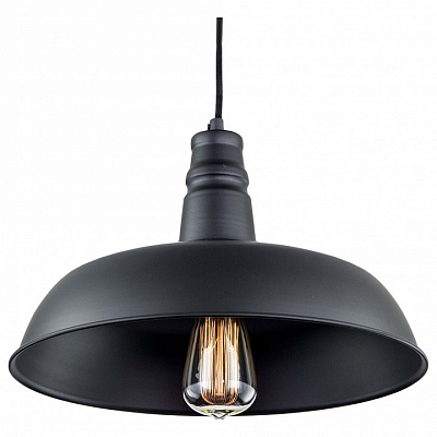 Подвесной светильник Citilux Эдисон CL450204 400_400_1693426