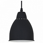 Подвесной светильник Arte Lamp Braccio A2054SP-1BK 250_100_Array