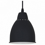 Подвесной светильник Arte Lamp Braccio A2054SP-1BK 500_191_2454661