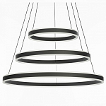 Подвесной светильник Citilux Дуэт CL719681 250_100_Array