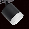 Светильник на штанге Lightstar Rullo R1T348780 100_100_1717977