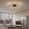 Потолочная люстра Citilux ESPACE CL243181 100_100_2877256