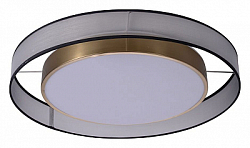 Накладной светильник Zortes Bella ZRS.27510.05 250_100_Array