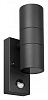 Светильник на штанге Arte Lamp Mistero A3322AL-2BK 100_100_2469452