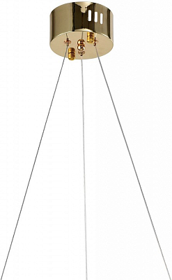 Подвесной светильник Zortes Ringer ZRS.57792.76 400_400_3162413