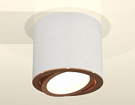 Накладной светильник Ambrella Light XS XS7401005 250_100_2006030