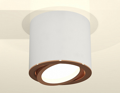 Накладной светильник Ambrella Light XS XS7401005 400_400_2006030