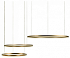 Подвесной светильник Loft it Ring 10017/3S 100_100_631385