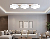 Накладной светильник Ambrella Light FL FL4877 100_100_2620476