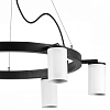Подвесная люстра Lightstar Rullo LR016366 100_100_1718105