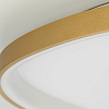 Накладной светильник Citilux GENKA SMART CL756A162 100_100_3081140
