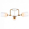 Потолочная люстра Ambrella Light TR TR303321 100_100_2431380
