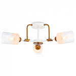 Потолочная люстра Ambrella Light TR TR303321 250_100_Array